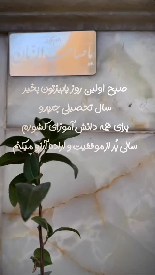  جدید ترین استوری اینستاگرام محمد اسداللهی