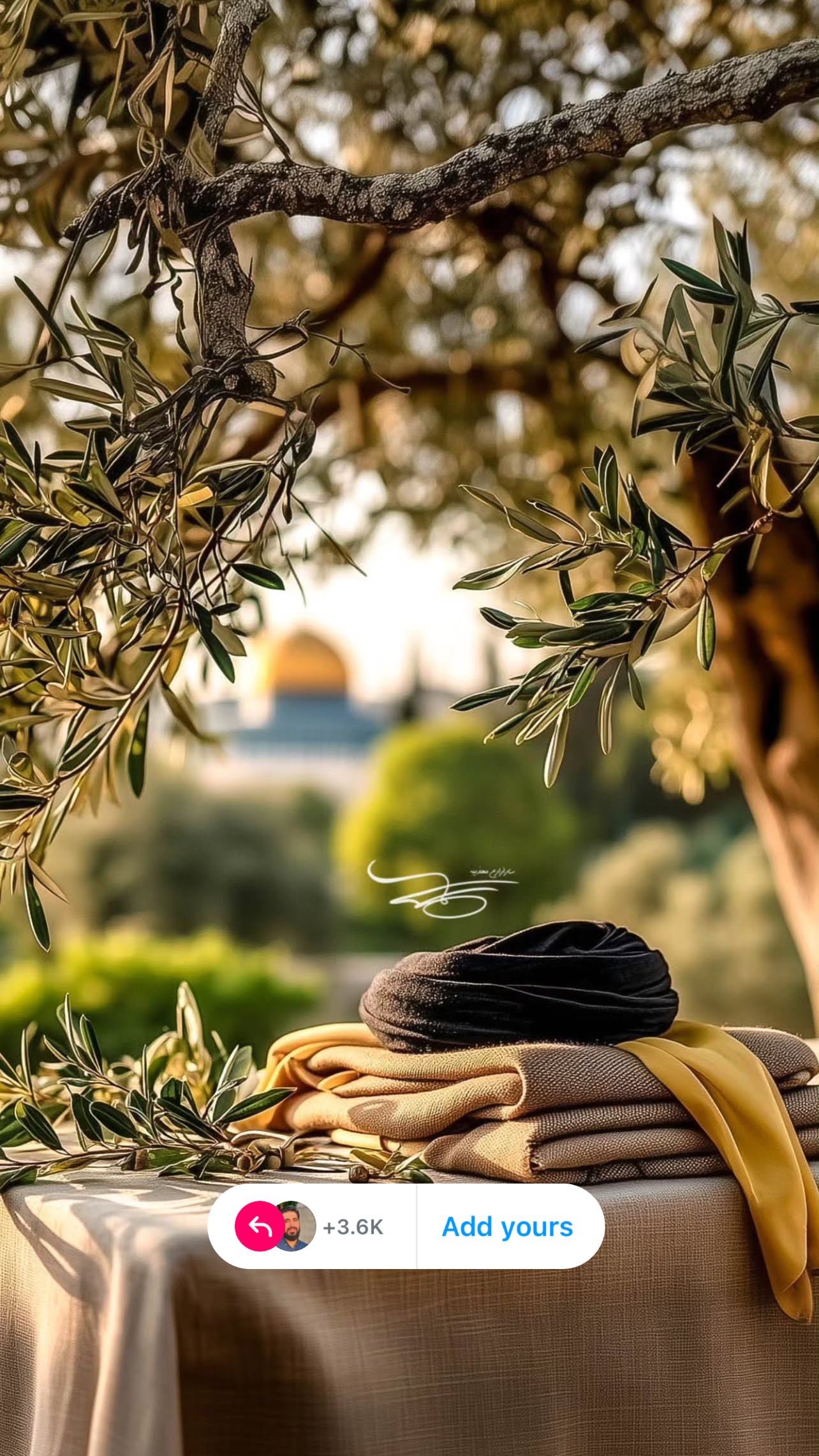  جدید ترین استوری اینستاگرام محمد اسداللهی
