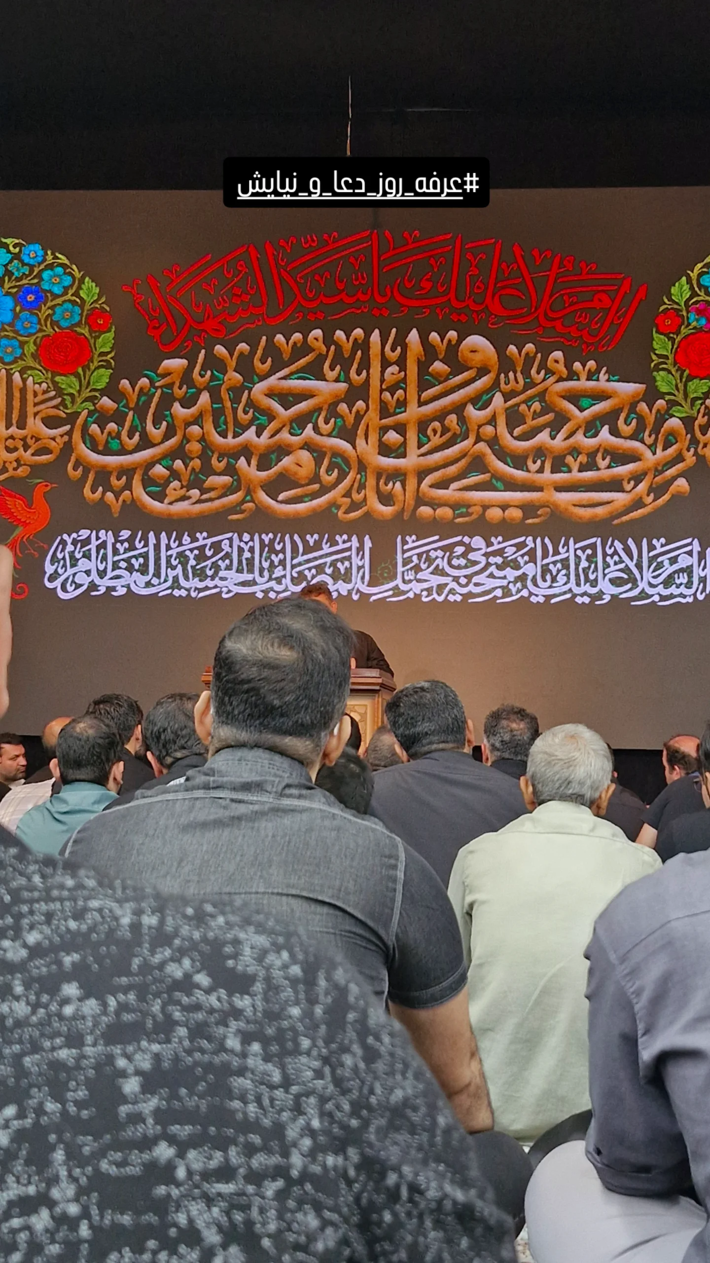  جدید ترین استوری اینستاگرام محمدزمان منفردی