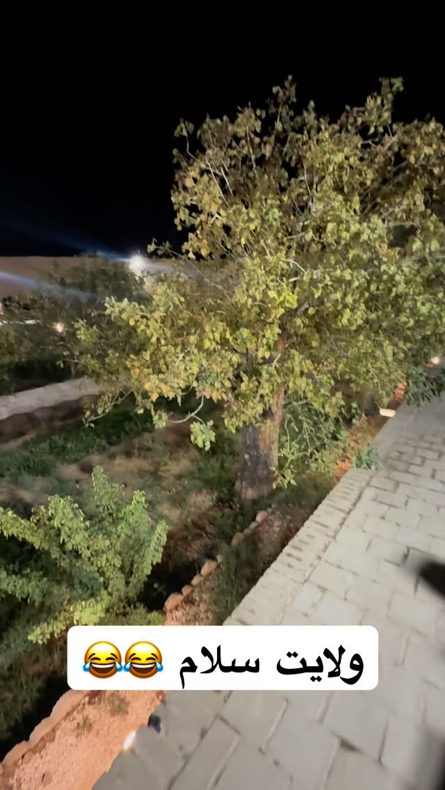  جدید ترین استوری اینستاگرام محمد امین کرم پور