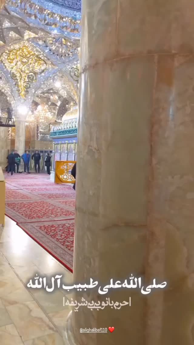  جدید ترین استوری اینستاگرام محمدحسين حداديان
