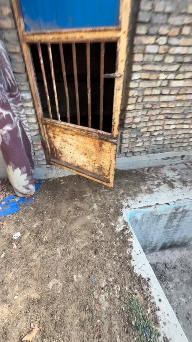  جدید ترین استوری اینستاگرام محمد معماریان