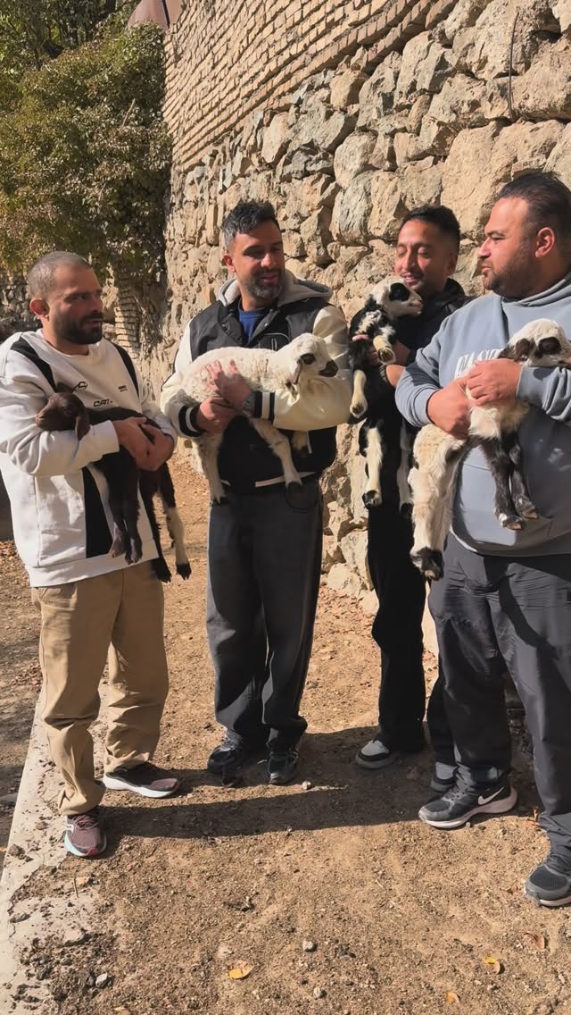  جدید ترین استوری اینستاگرام محمد معماریان