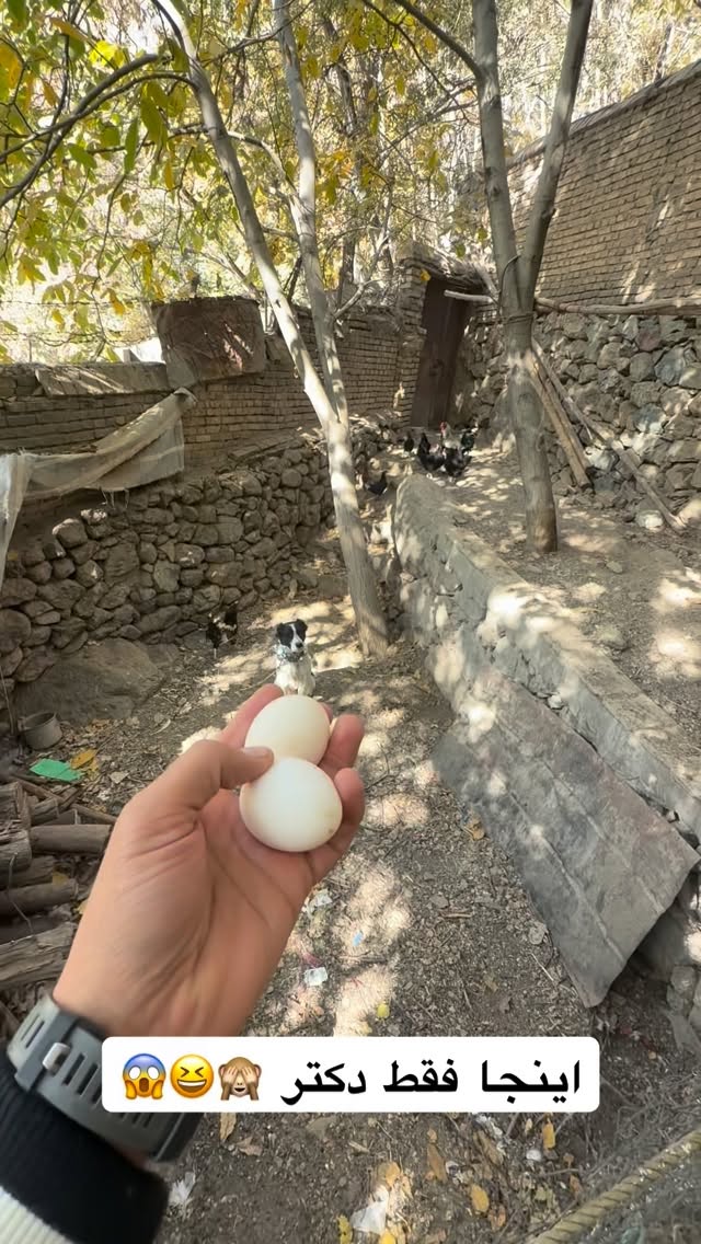  جدید ترین استوری اینستاگرام محمد معماریان