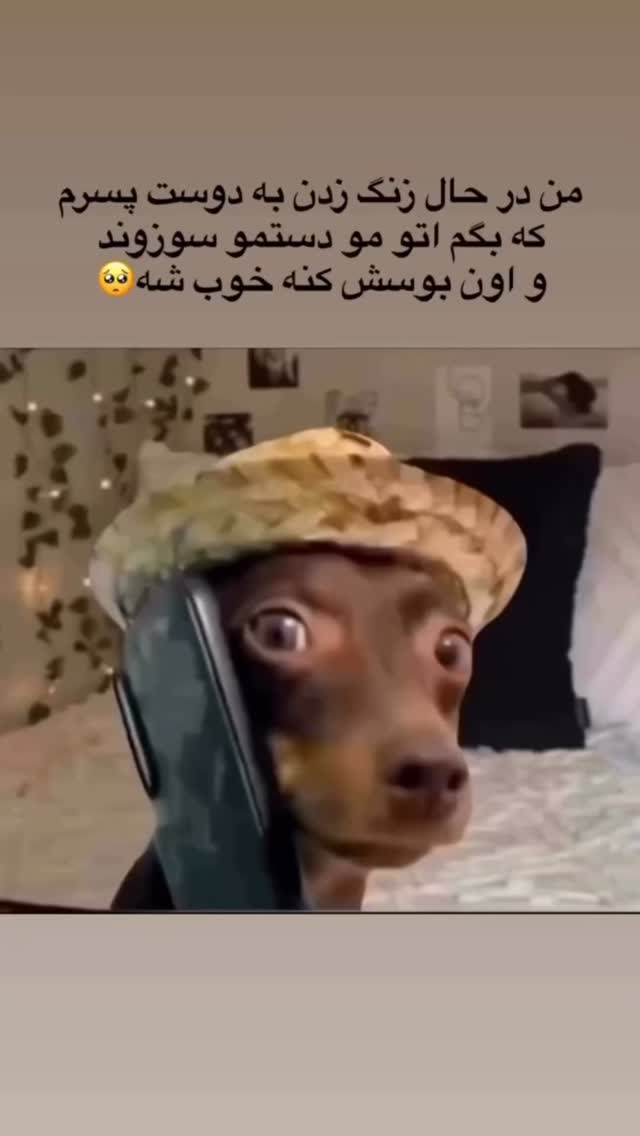 جدید ترین استوری اینستاگرام محمد معماریان