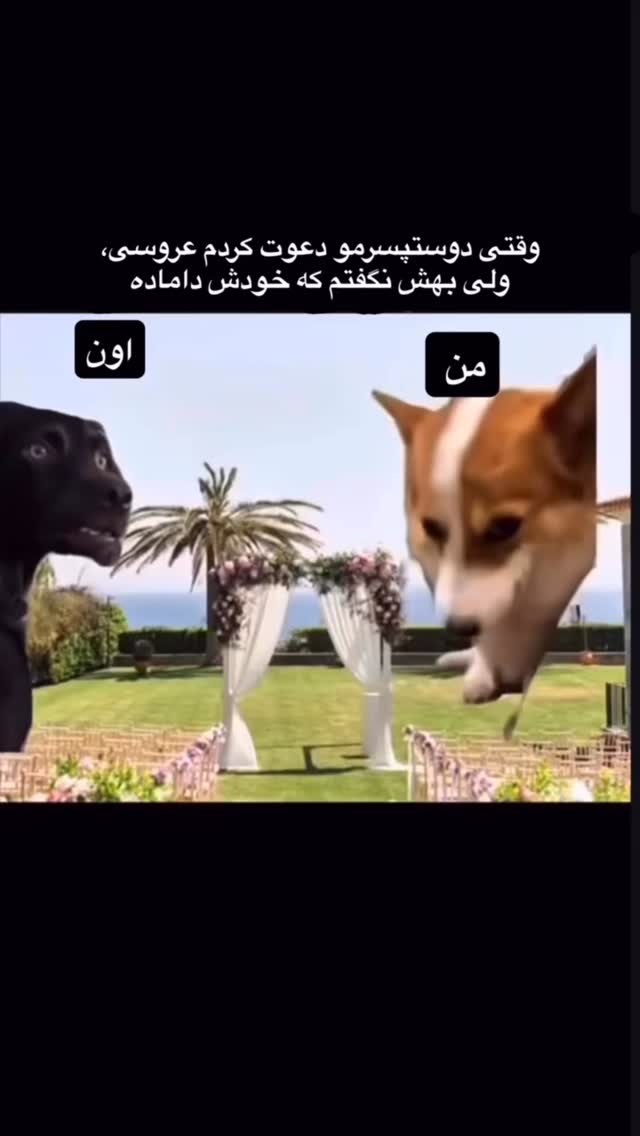  جدید ترین استوری اینستاگرام محمد معماریان