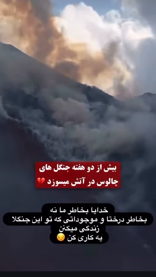  جدید ترین استوری اینستاگرام محمد معماریان