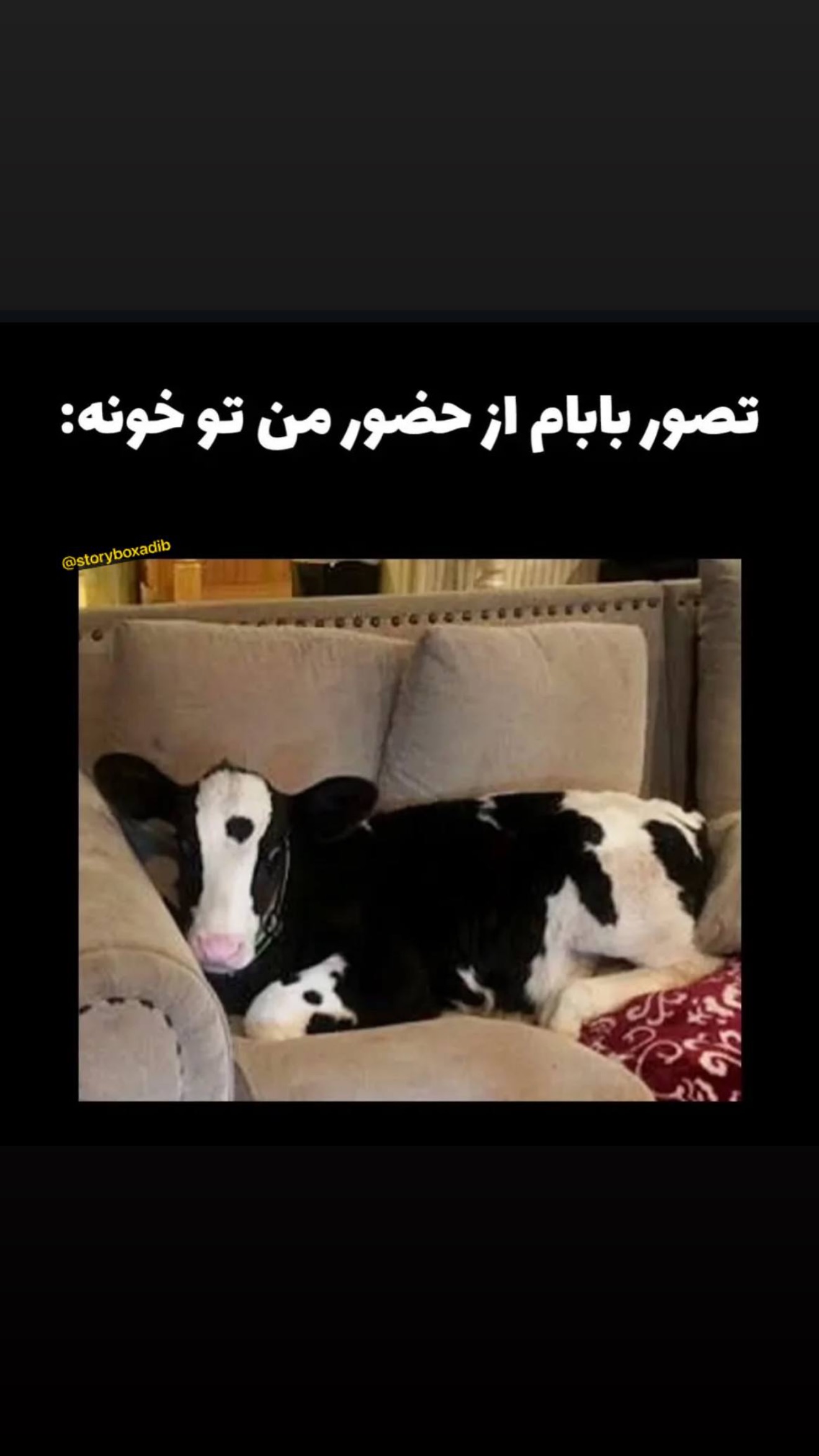  جدید ترین استوری اینستاگرام محمد معماریان