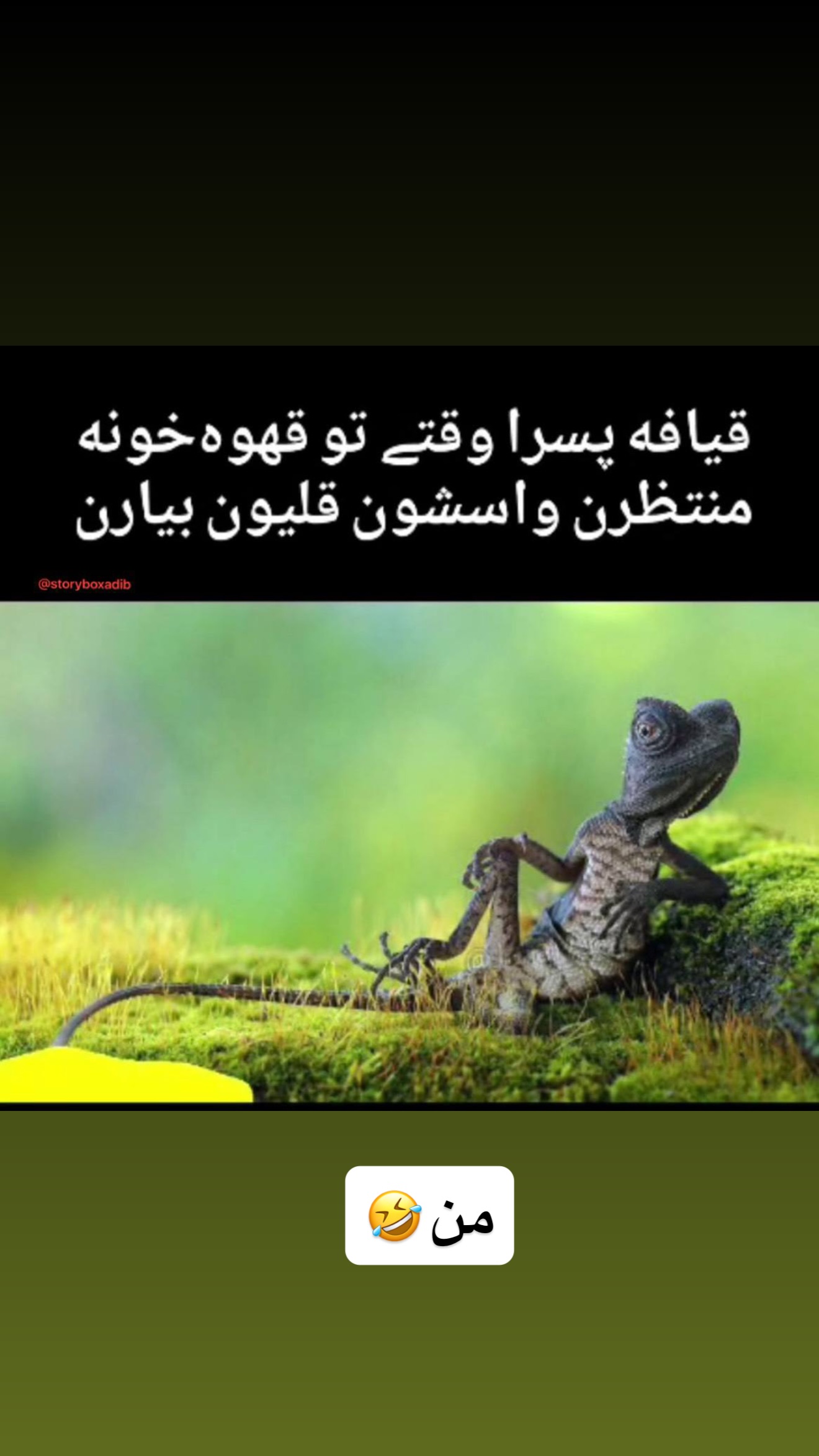 جدید ترین استوری اینستاگرام محمد معماریان