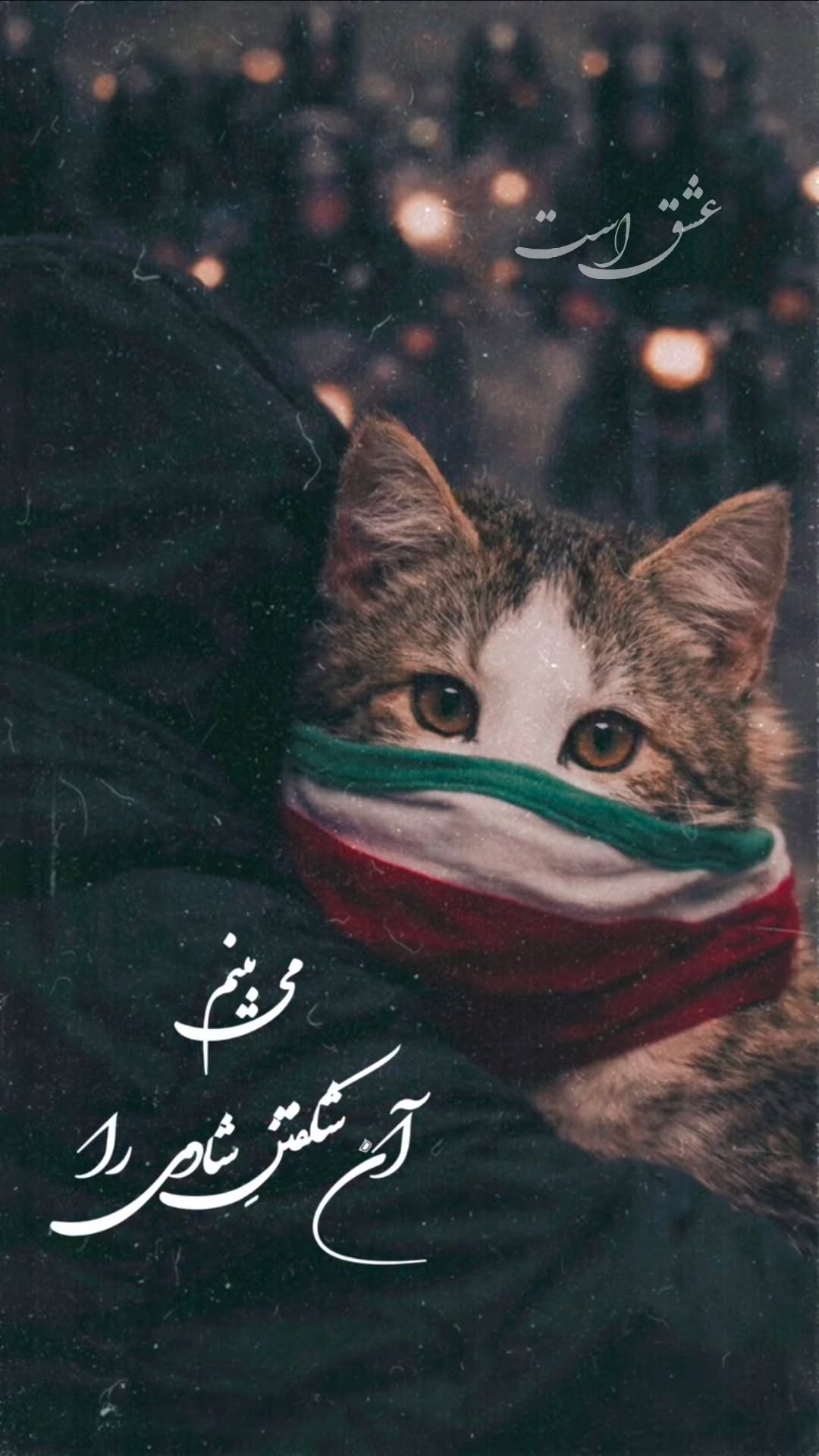  جدید ترین استوری اینستاگرام محمد رضا مقدم