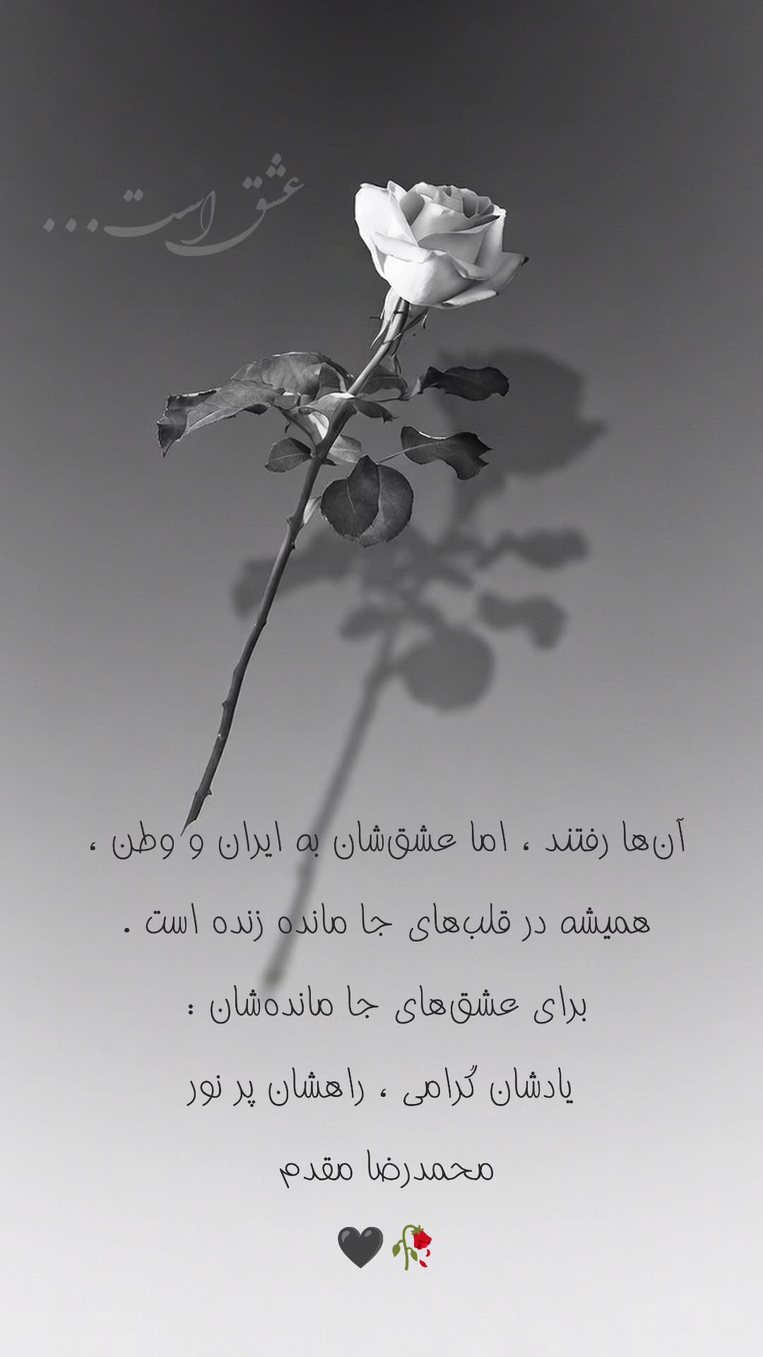  جدید ترین استوری اینستاگرام محمد رضا مقدم