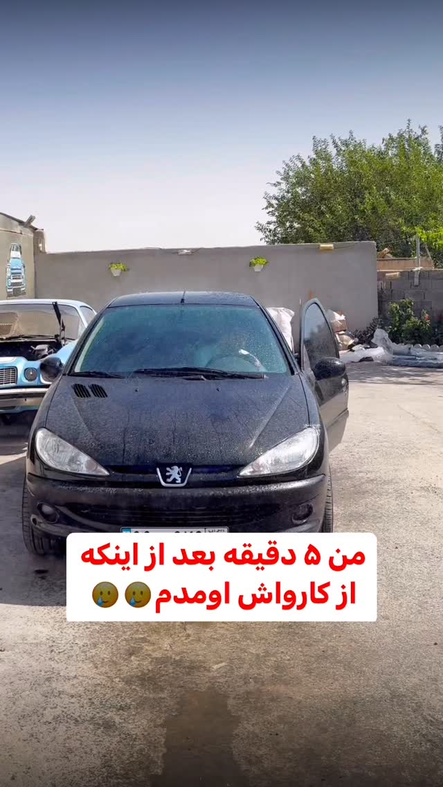  جدید ترین استوری اینستاگرام محمد گرامی