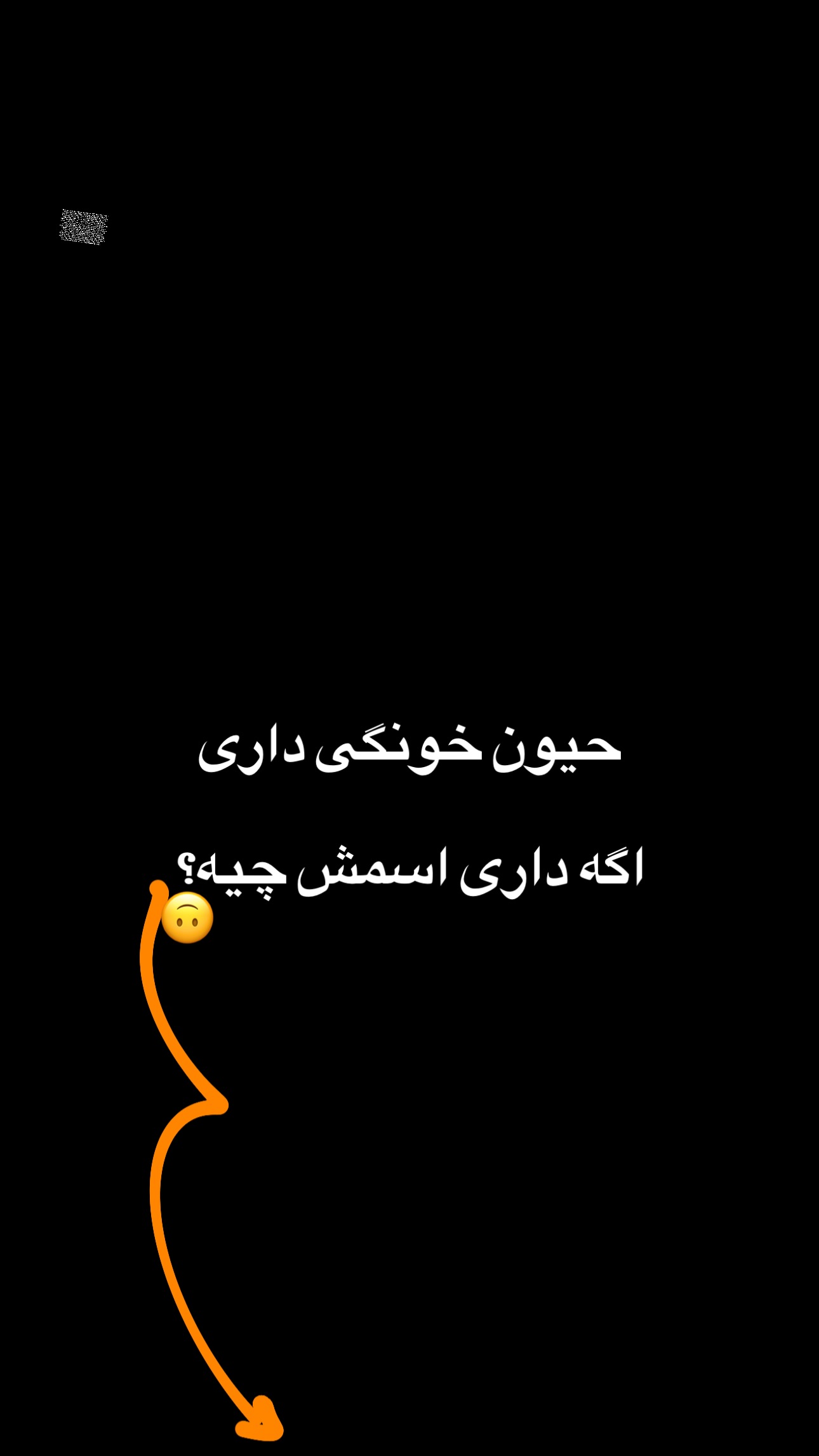  جدید ترین استوری اینستاگرام محمد گرامی