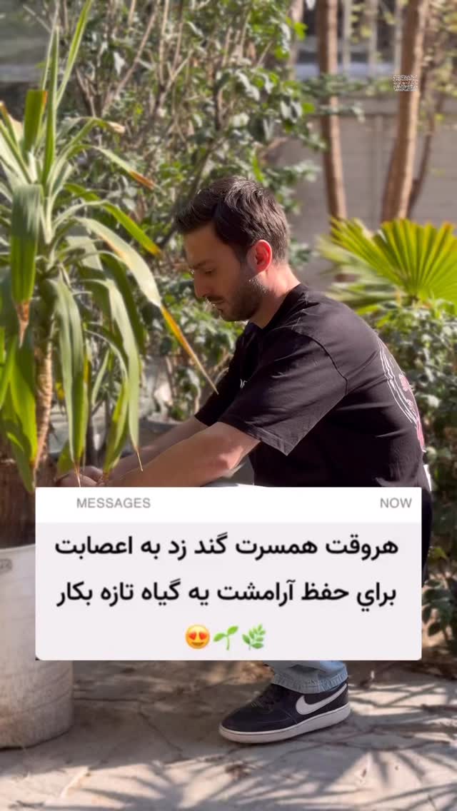  جدید ترین استوری اینستاگرام محمد گرامی