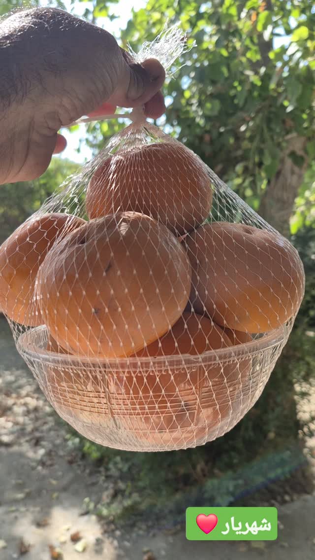  جدید ترین استوری اینستاگرام محمد شهمیری