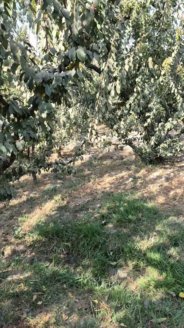  جدید ترین استوری اینستاگرام محمد شهمیری