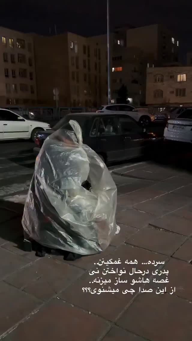  جدید ترین استوری اینستاگرام محمد شهمیری