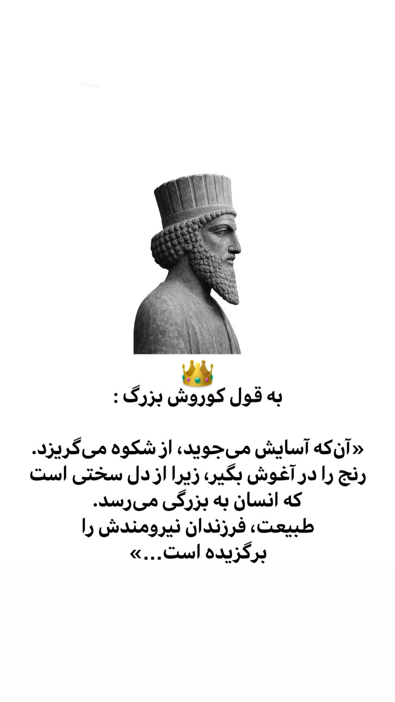  جدید ترین استوری اینستاگرام محمد نوروزی