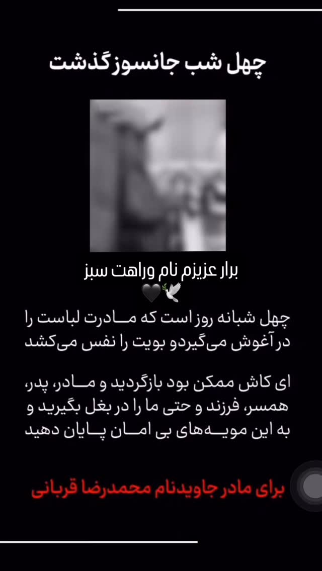  جدید ترین استوری اینستاگرام محمد نوروزی