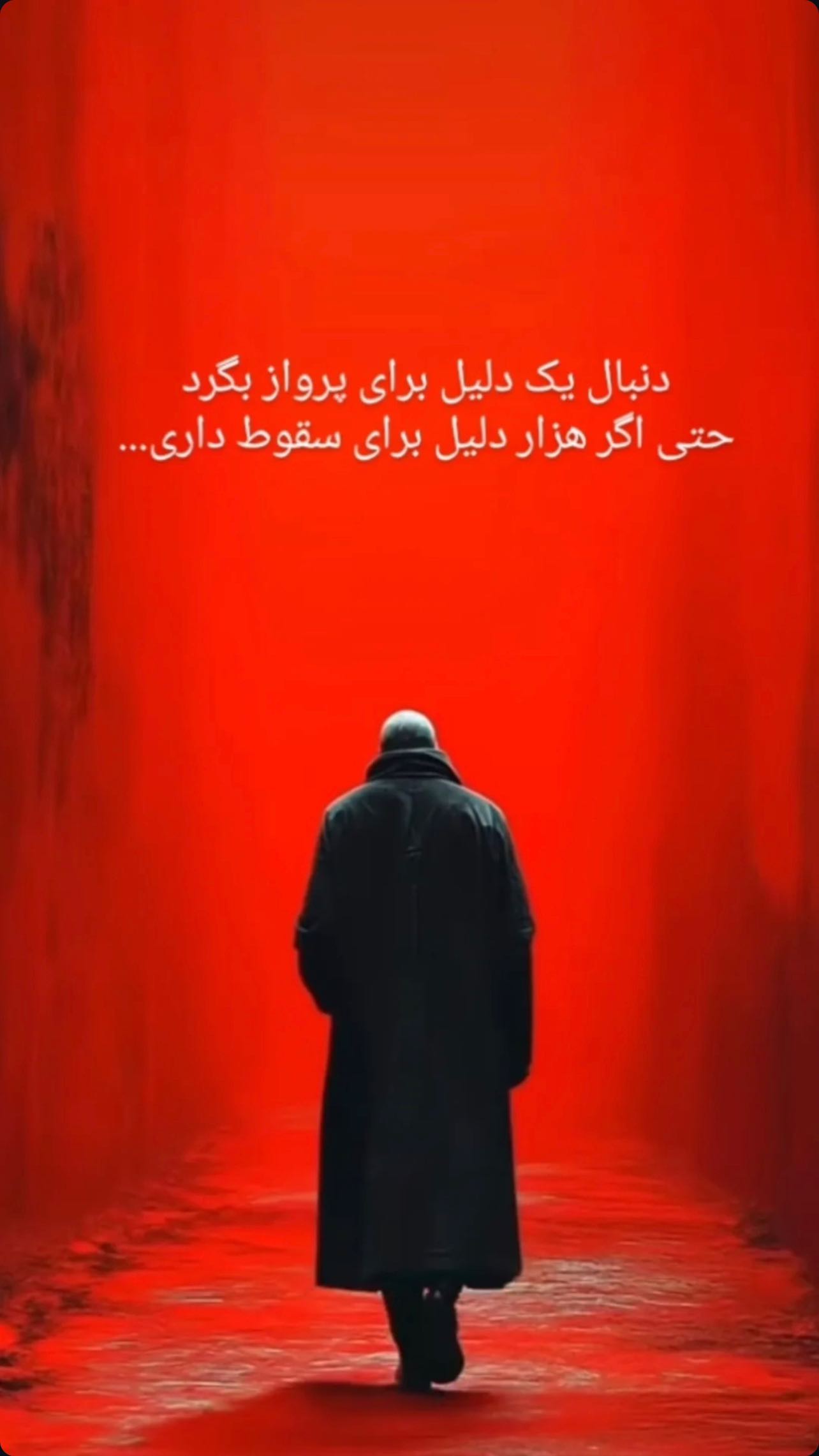  جدید ترین استوری اینستاگرام محمد علیزاده