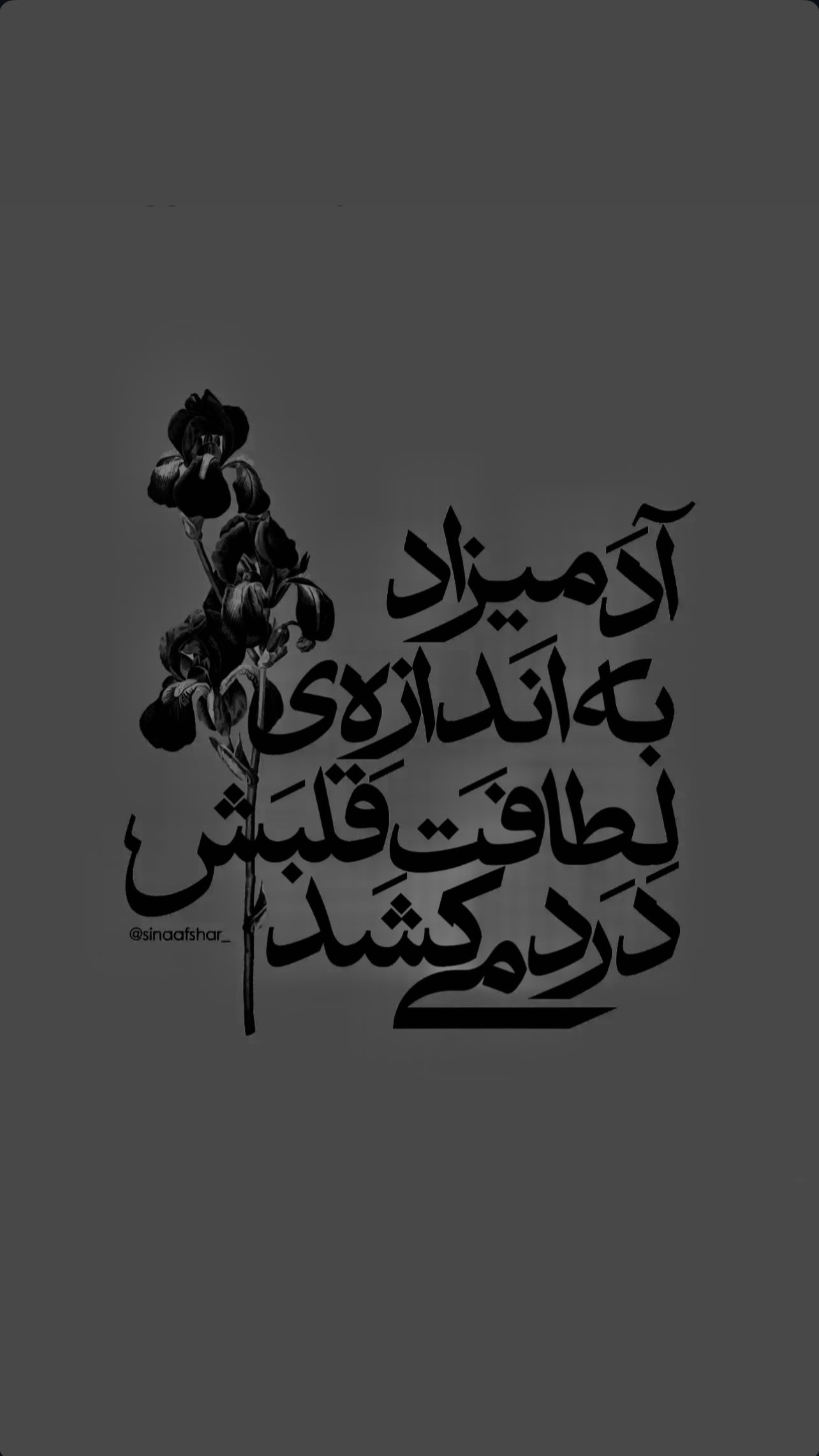  جدید ترین استوری اینستاگرام محمد علیزاده