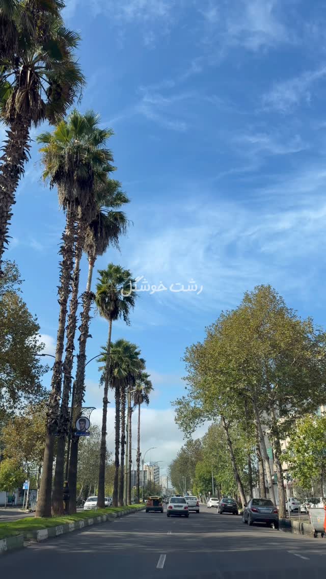  جدید ترین استوری اینستاگرام محمد امین سیفی