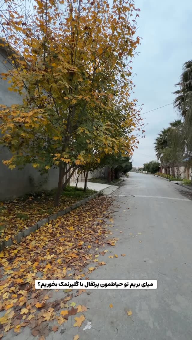  جدید ترین استوری اینستاگرام محمد امین سیفی