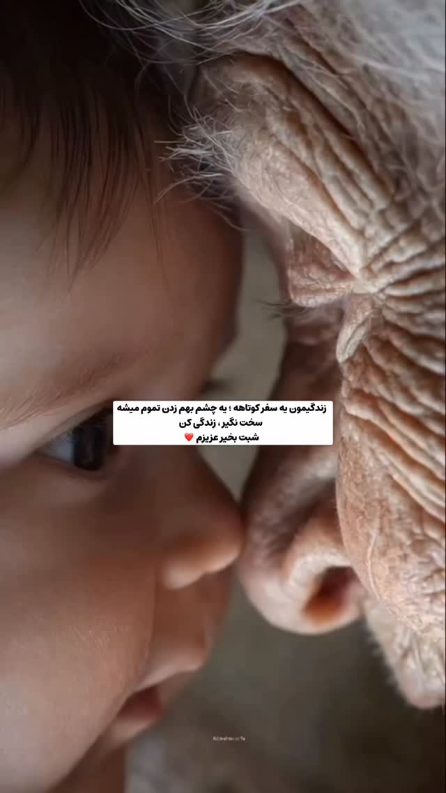  جدید ترین استوری اینستاگرام محمد امین سیفی