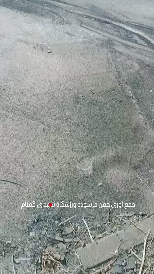  جدید ترین استوری اینستاگرام محمد انصاری