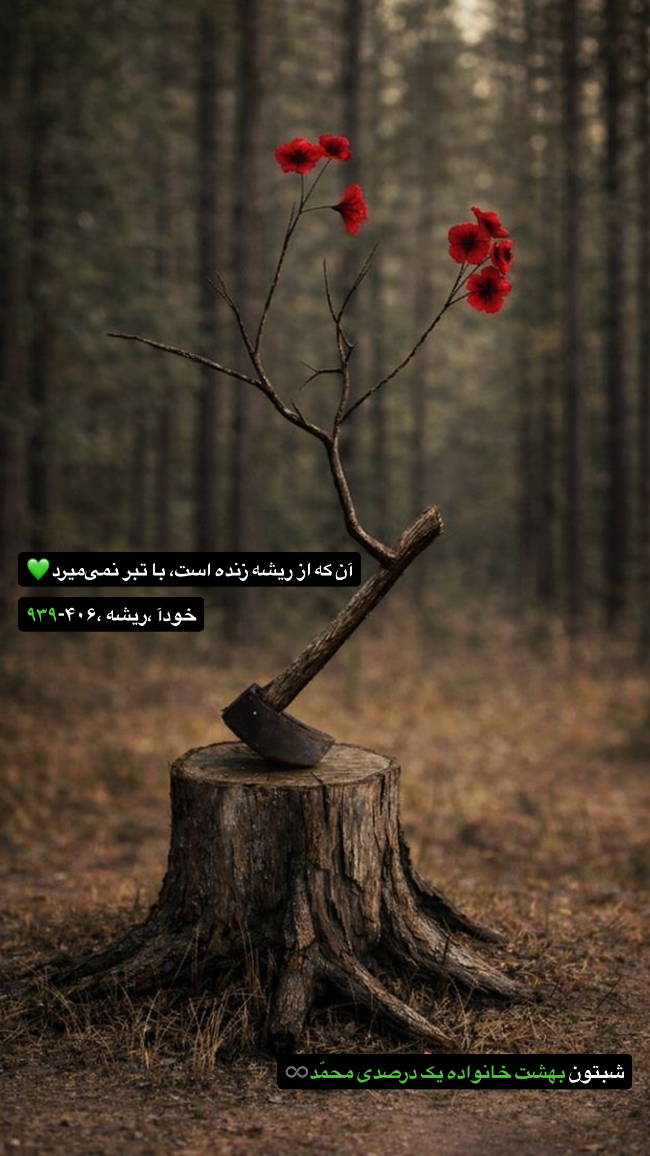  جدید ترین استوری اینستاگرام محمد بصیری