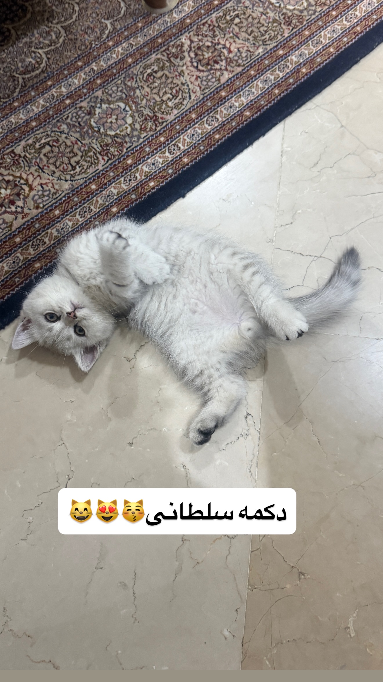  جدید ترین استوری اینستاگرام محمد درویش علی پور