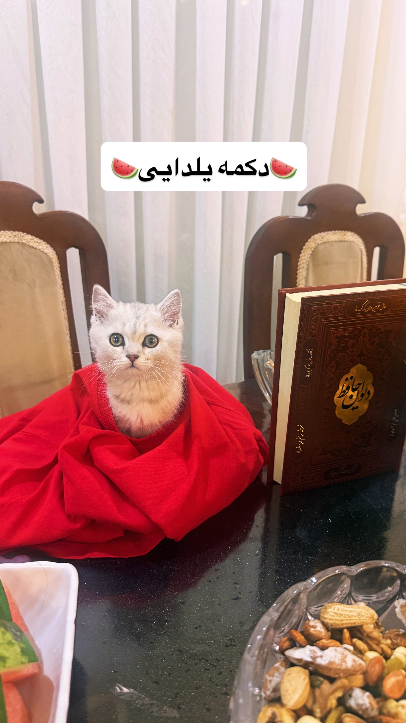 جدید ترین استوری اینستاگرام محمد درویش علی پور