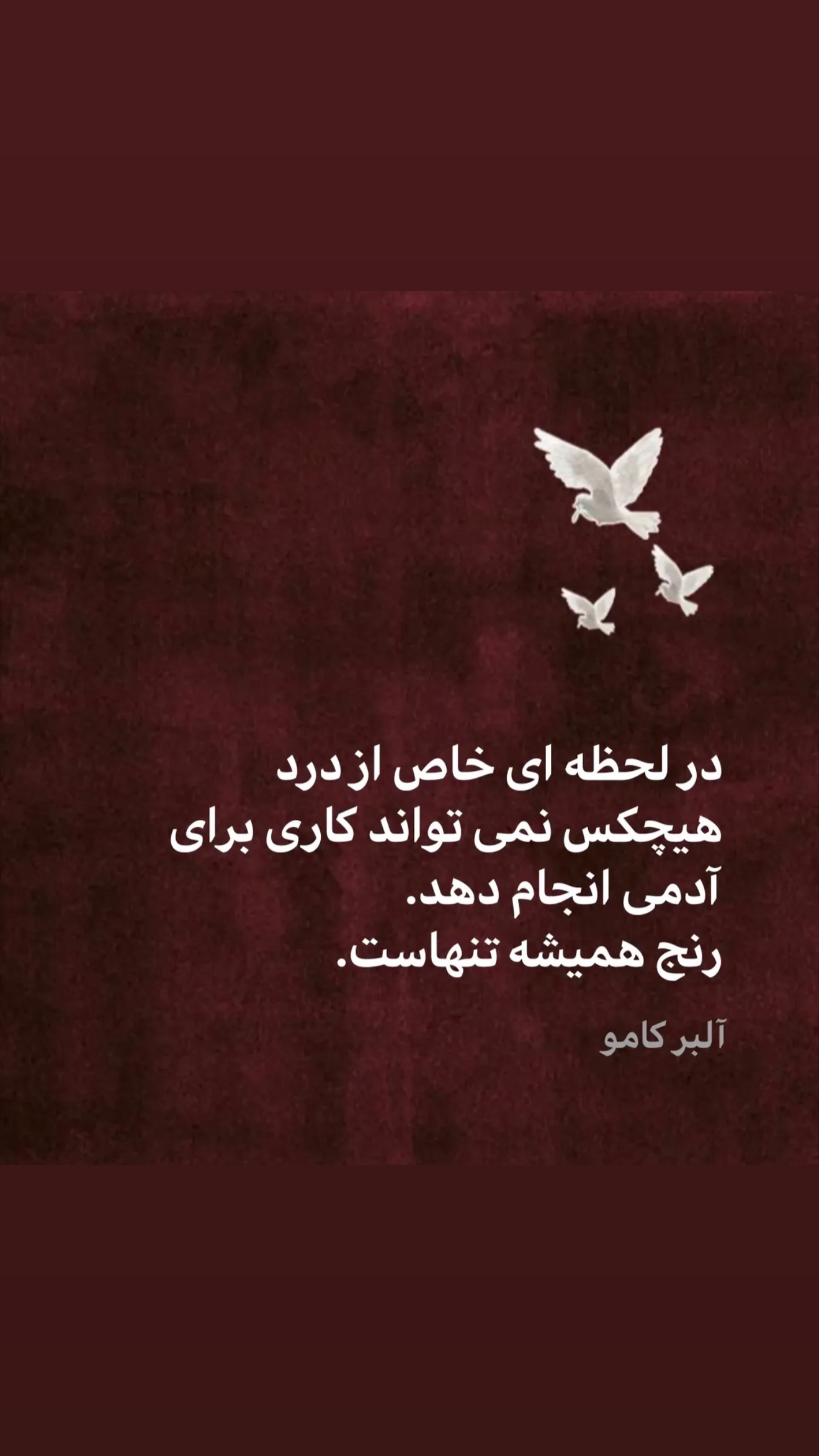  جدید ترین استوری اینستاگرام محمد درویش علی پور