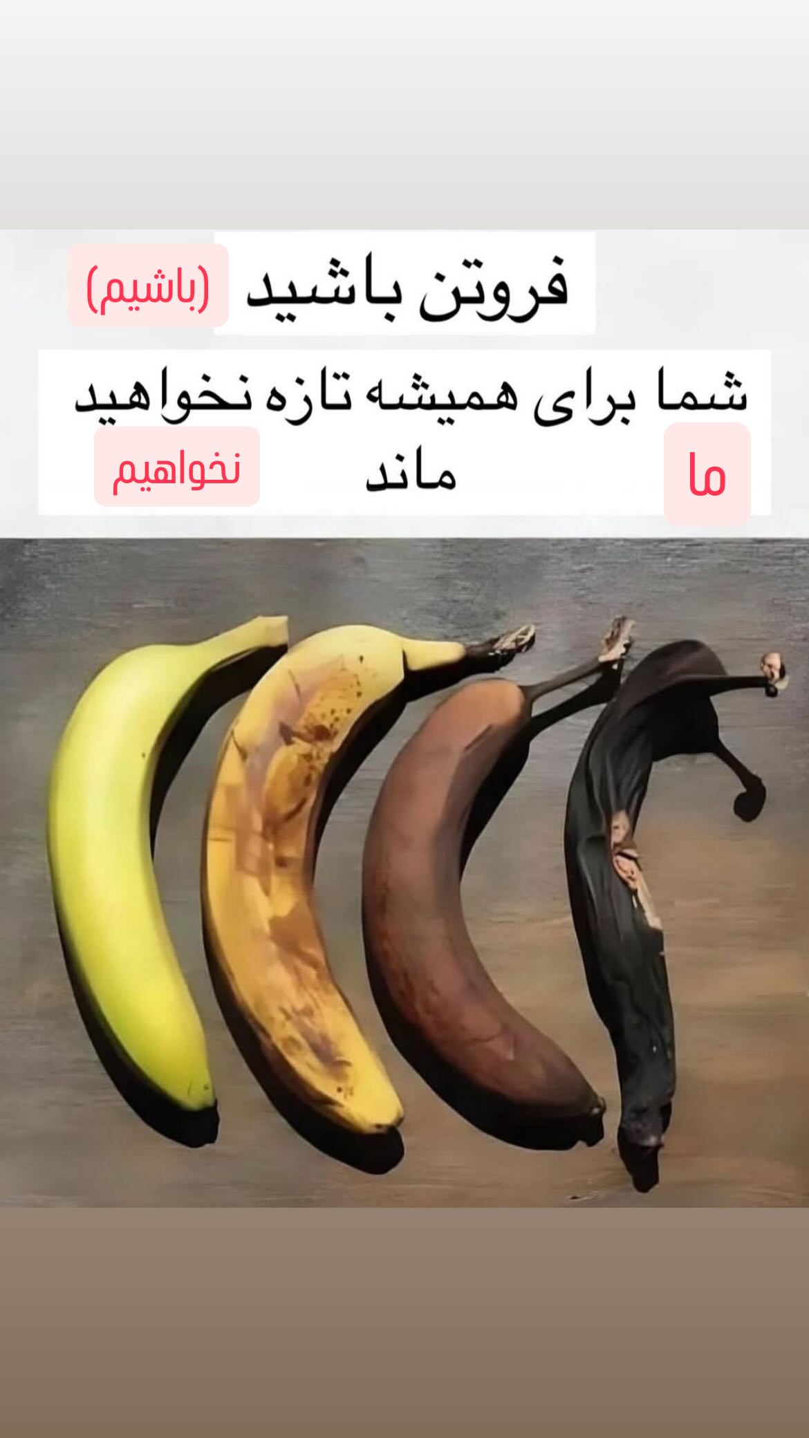  جدید ترین استوری اینستاگرام محمد قدس