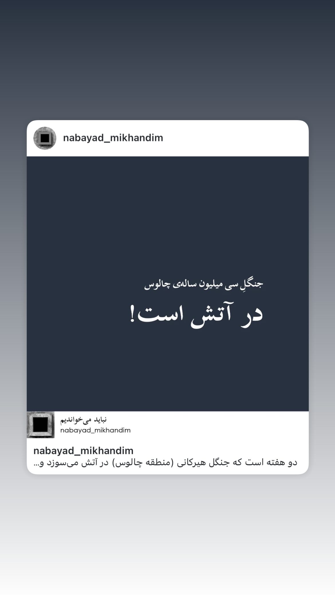  جدید ترین استوری اینستاگرام محمد قدس