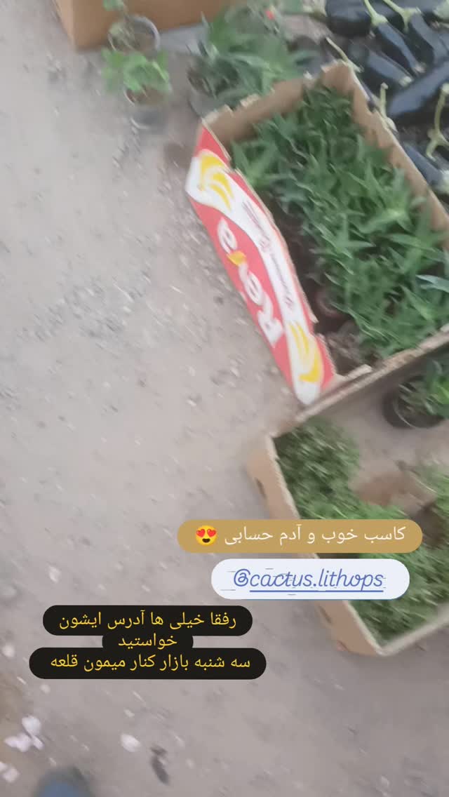  جدید ترین استوری اینستاگرام محمد حاجی زاده