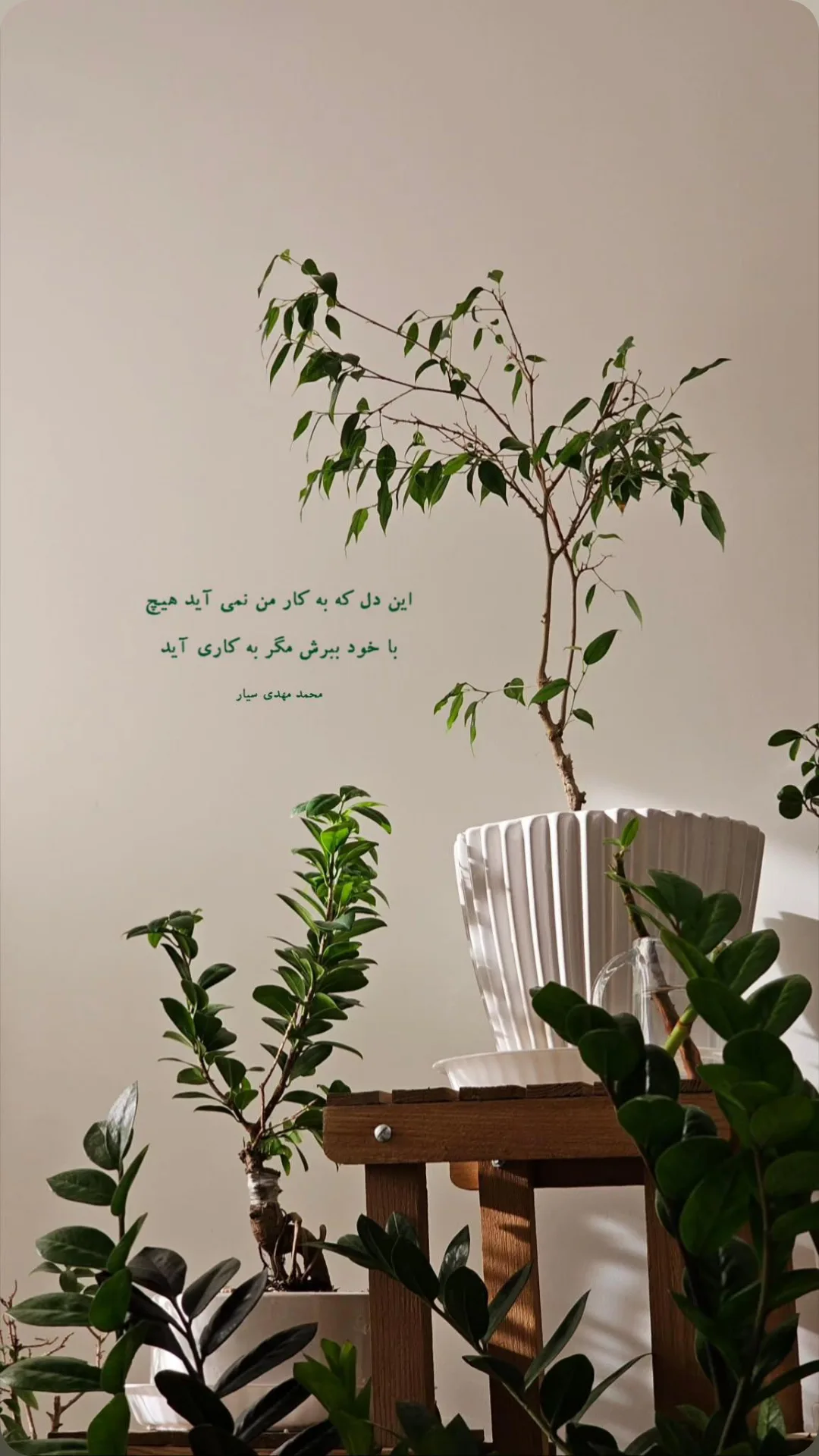 جدید ترین استوری اینستاگرام محمد مهدی سیار