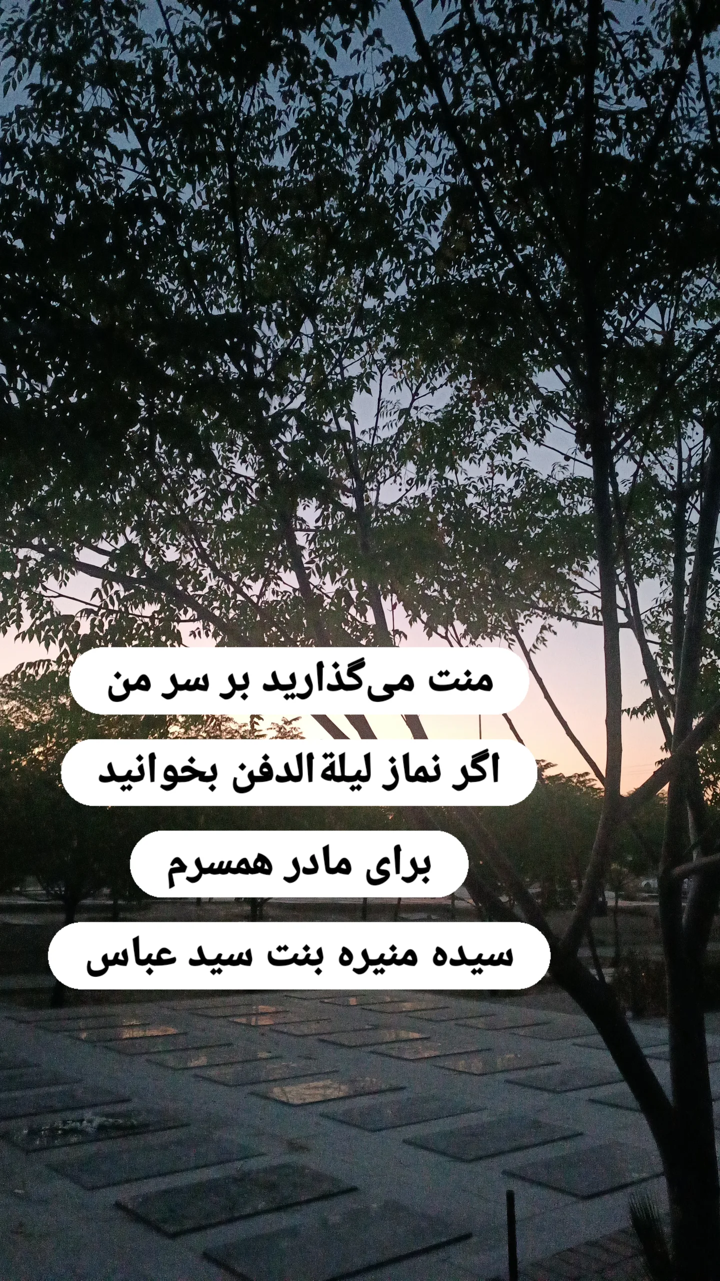  جدید ترین استوری اینستاگرام محمد مهدی سیار