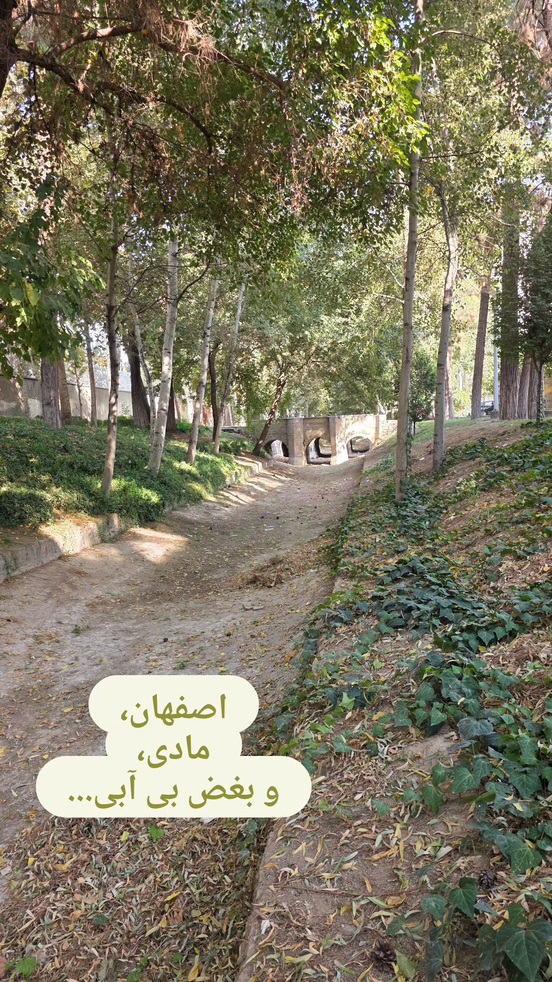 جدید ترین استوری اینستاگرام محمد معتمدی