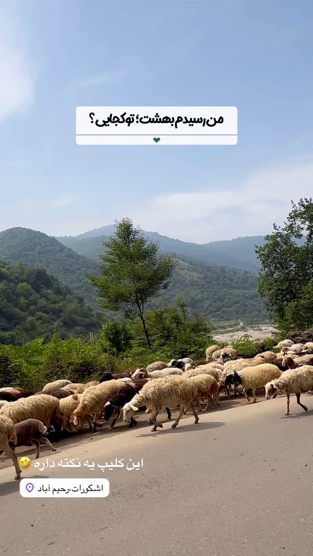  جدید ترین استوری اینستاگرام محمد نقدی