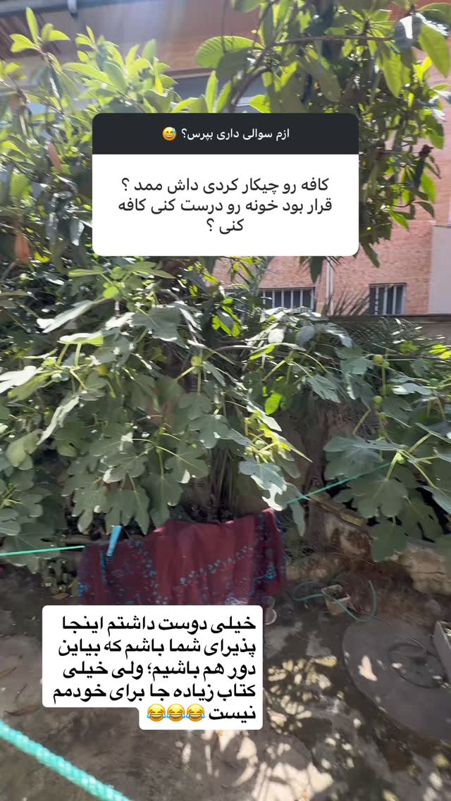  جدید ترین استوری اینستاگرام محمد نقدی