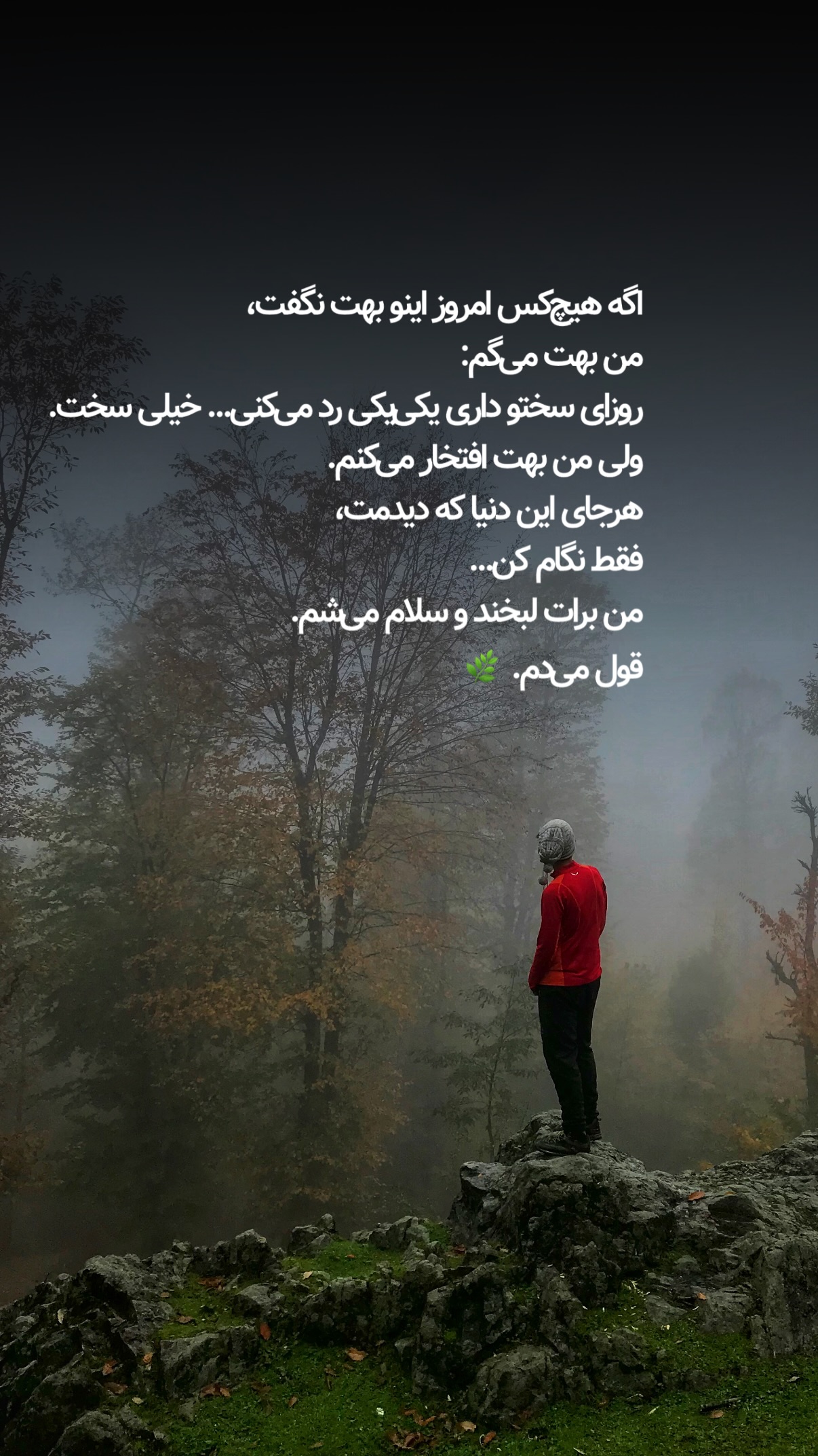 جدید ترین استوری اینستاگرام محمد نقدی