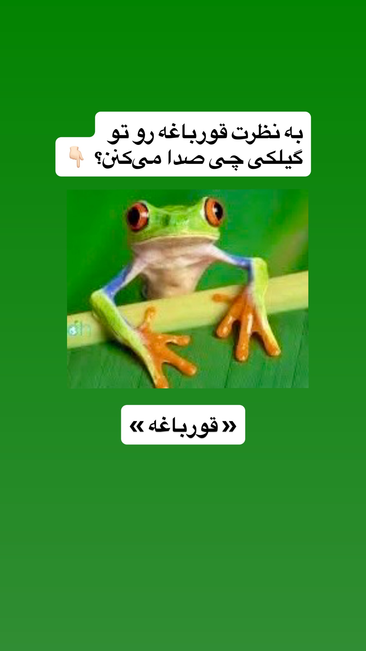  جدید ترین استوری اینستاگرام محمد نقدی