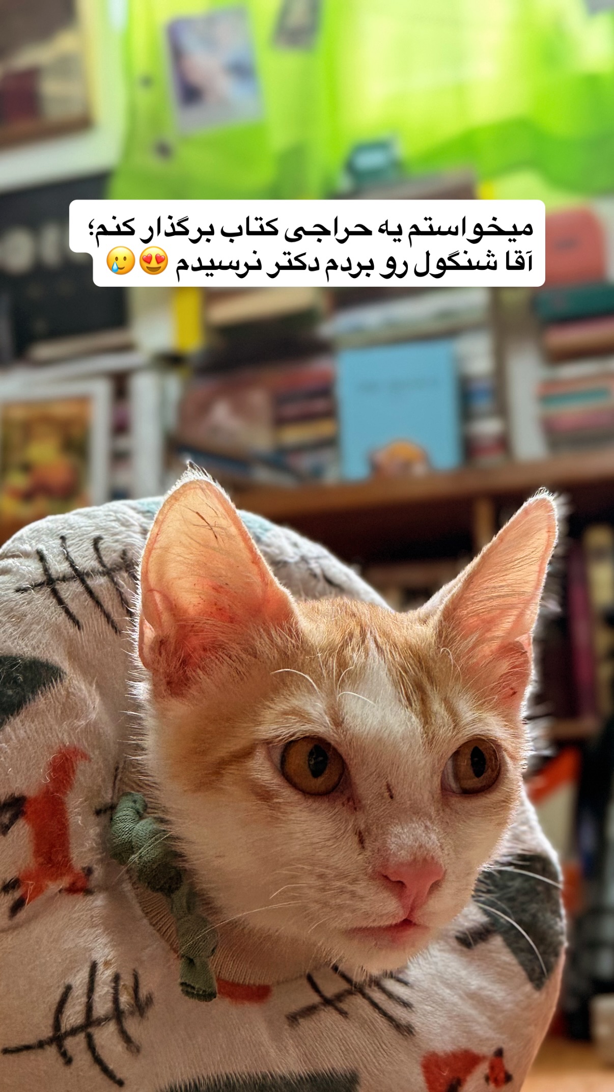  جدید ترین استوری اینستاگرام محمد نقدی