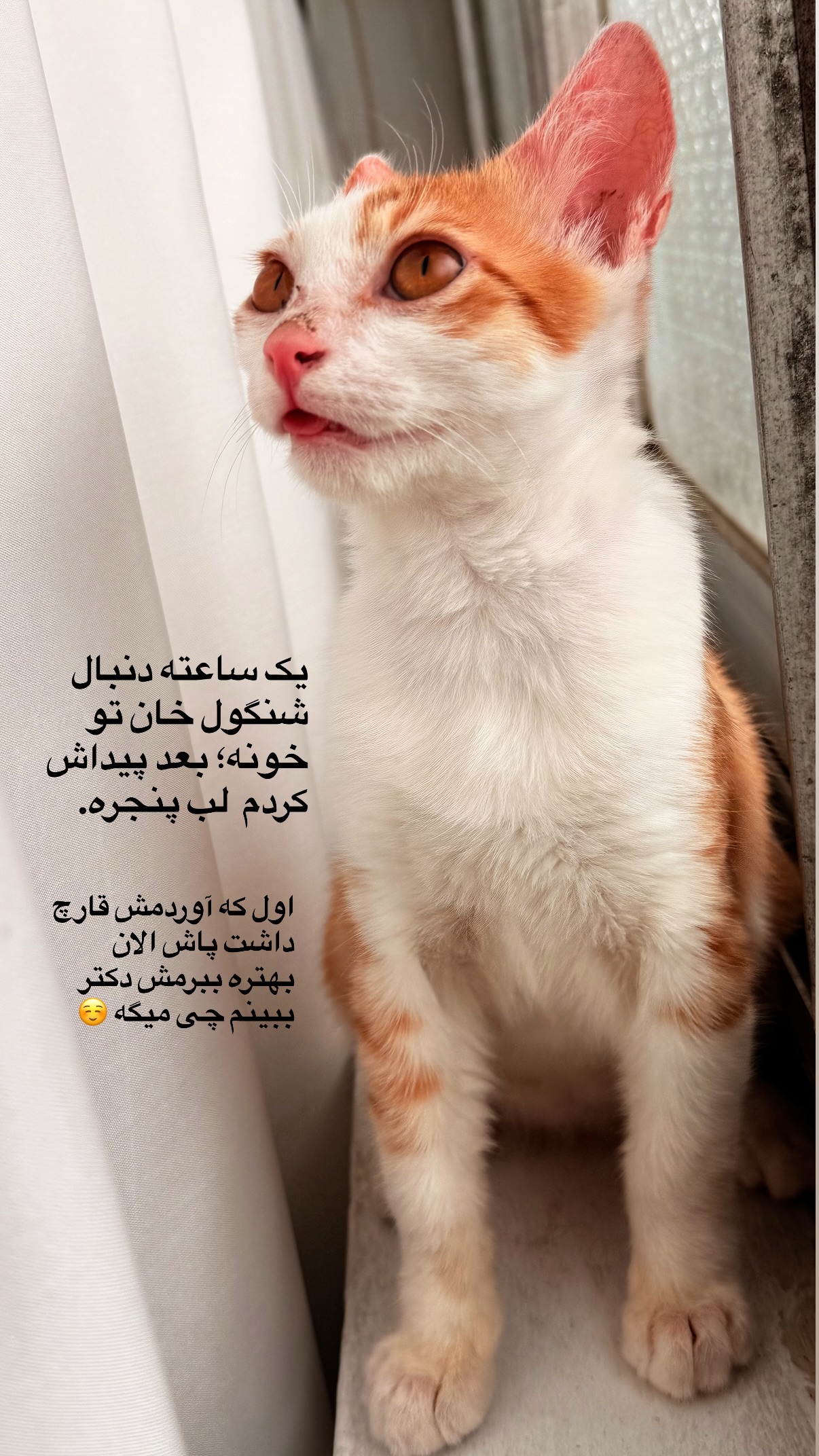  جدید ترین استوری اینستاگرام محمد نقدی