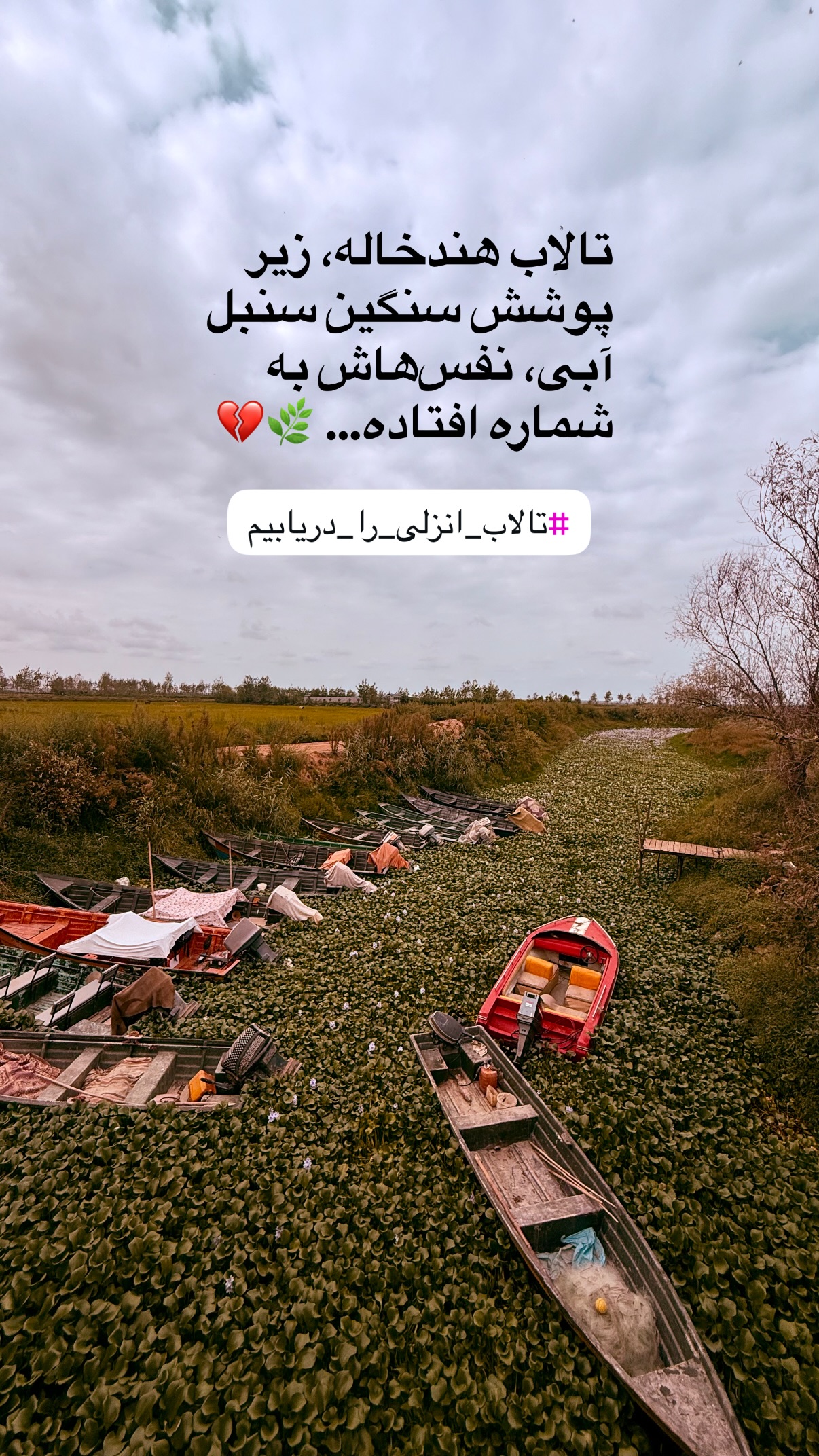  جدید ترین استوری اینستاگرام محمد نقدی