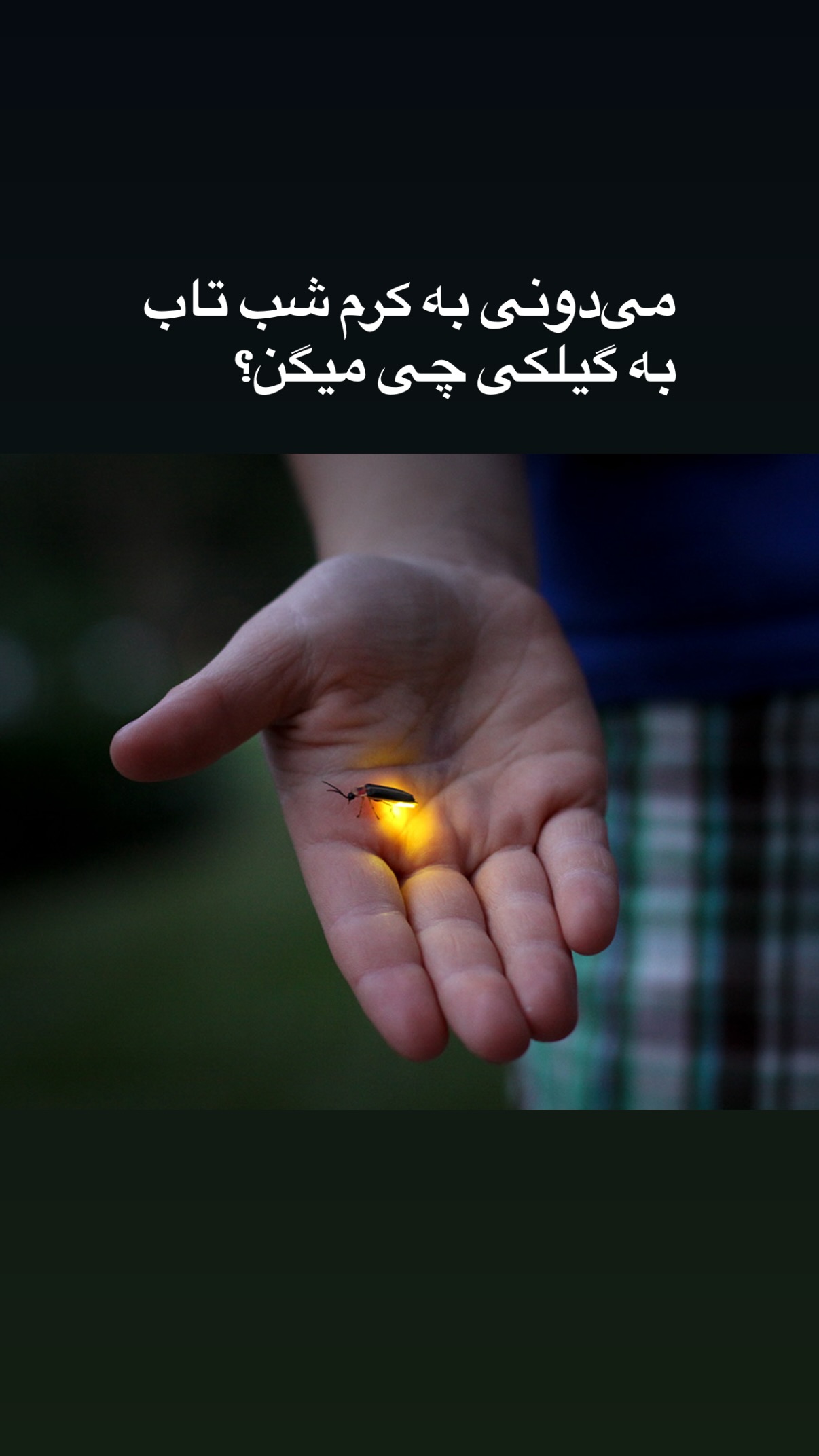  جدید ترین استوری اینستاگرام محمد نقدی