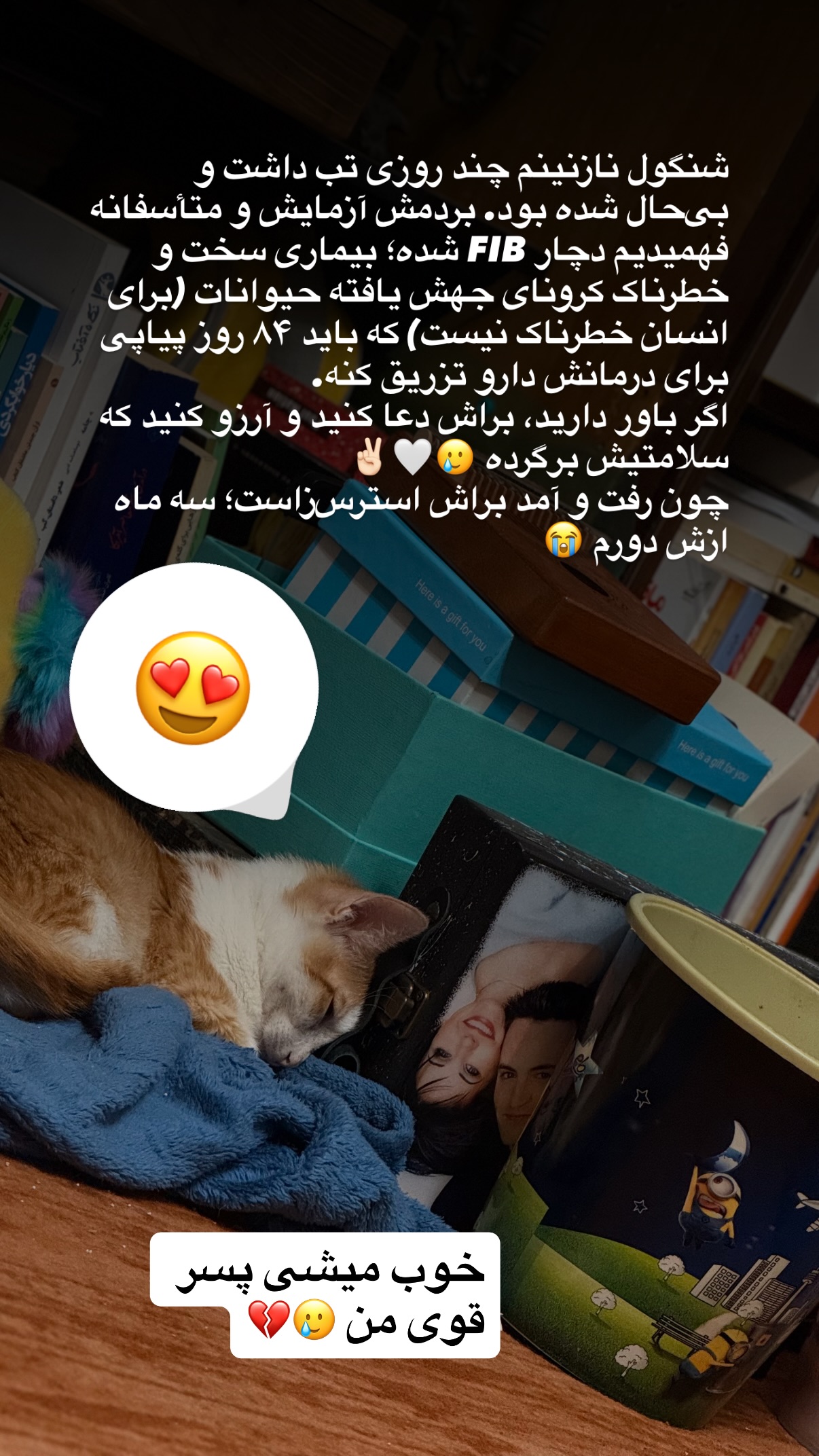  جدید ترین استوری اینستاگرام محمد نقدی