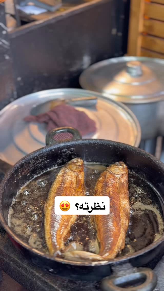  جدید ترین استوری اینستاگرام محمد نقدی