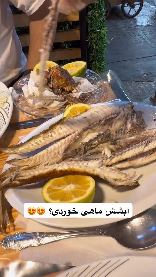  جدید ترین استوری اینستاگرام محمد نقدی